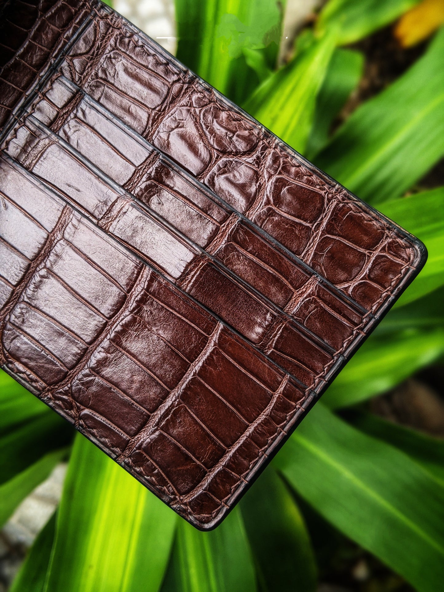Brown Alligator Leather Wallet
