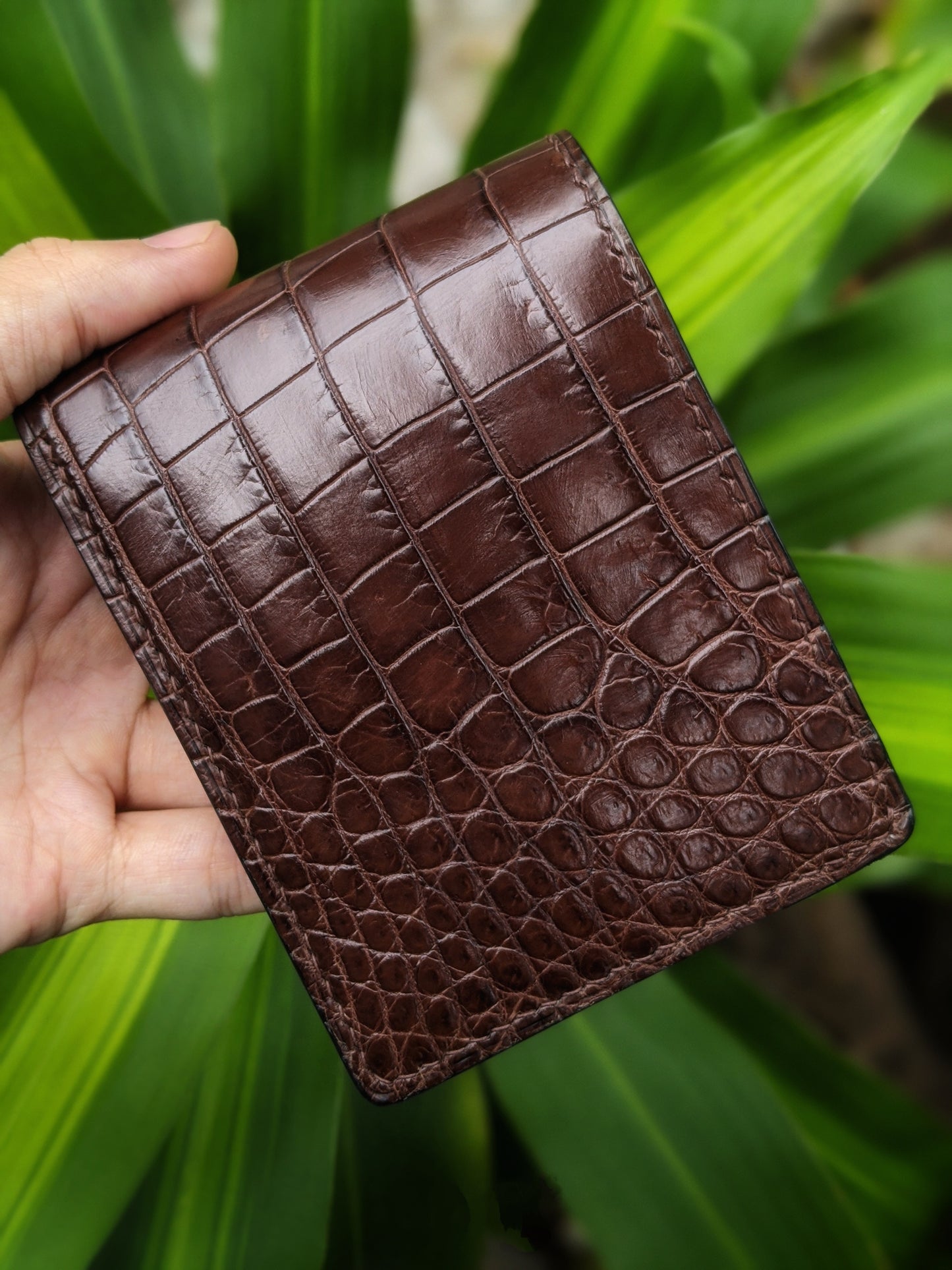 Brown Alligator Leather Wallet