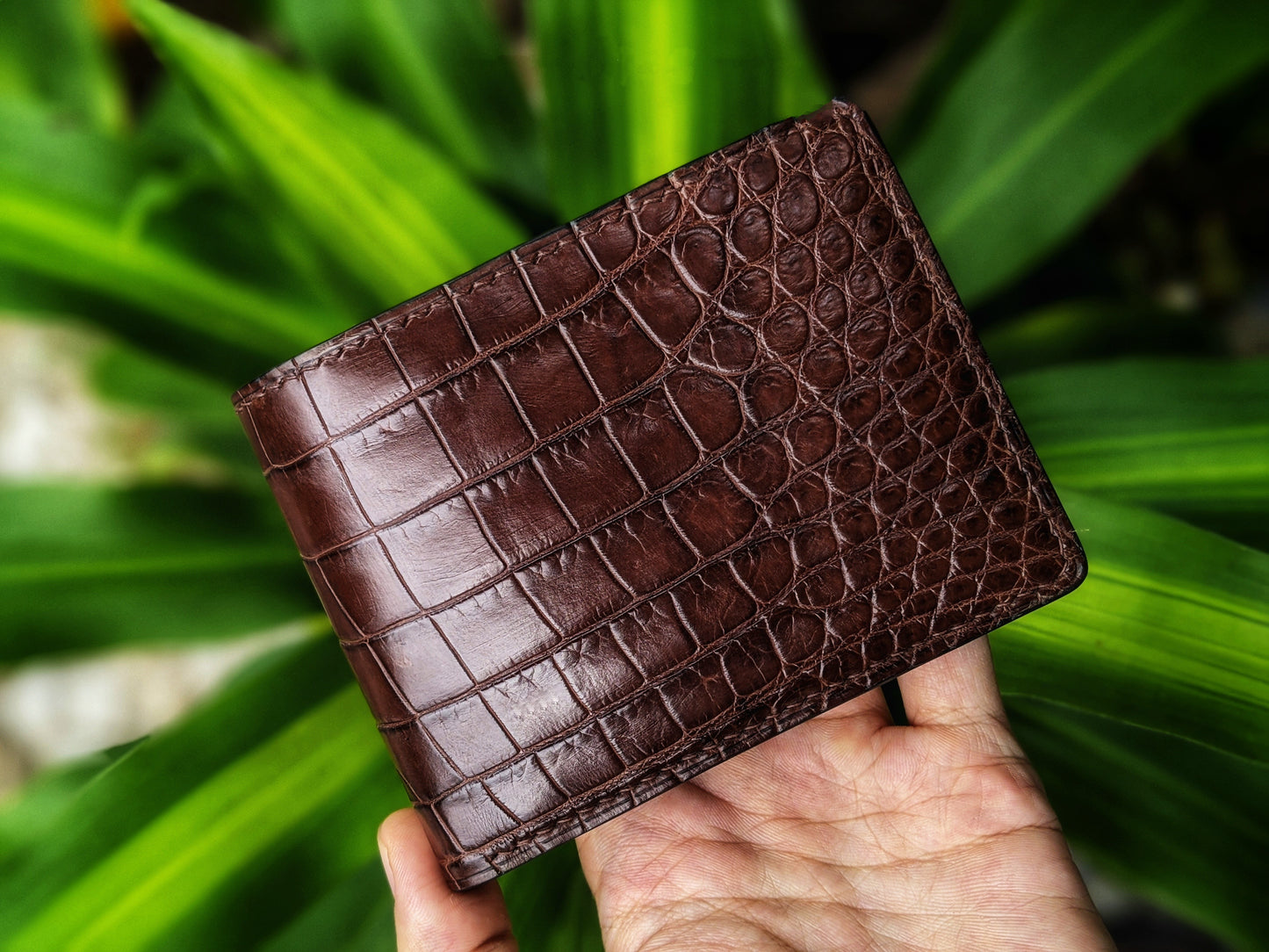 Brown Alligator Leather Wallet