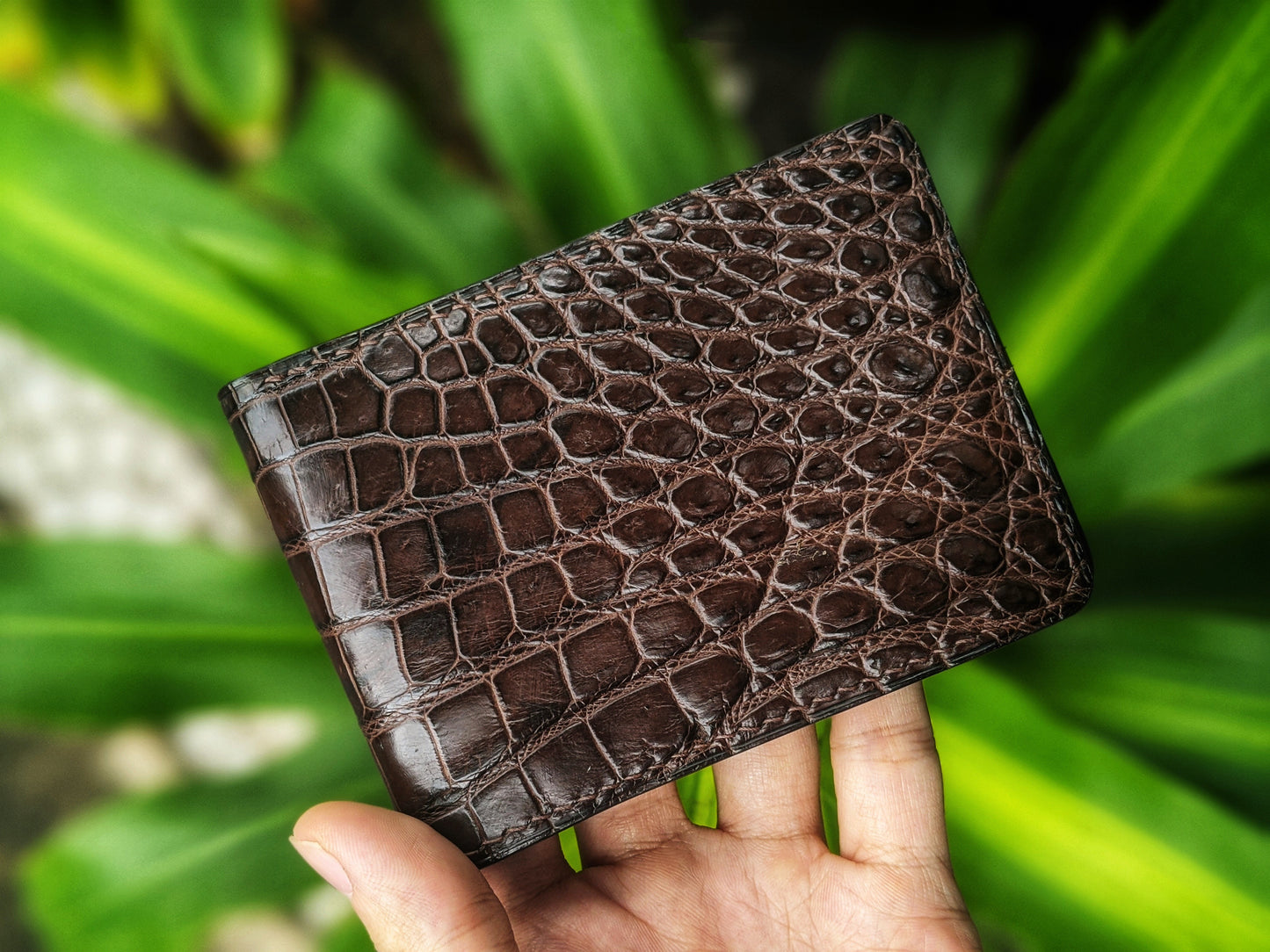 Minimalist Brown Alligator Leather Wallet
